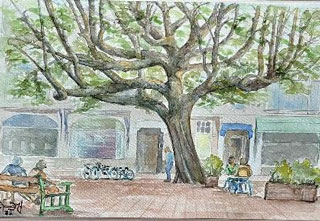 Aquarel van een van de vele bomen op en rond het Valkenbosplein